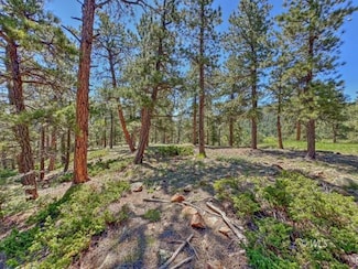 5029 Eagle Springs Rd, Westcliffe, CO 81252