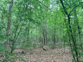 0 Tbd Hooks Rd, Livingston, TX 77351