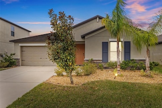 13422 Willow Bluestar Loop, Riverview, FL 33579