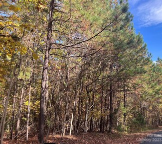 0 Creekside Cir Unit 115 CAR4049794, Rutherfordton, NC 28139