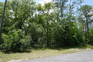 10072 N Conrad Point, Citrus Springs, FL 34434