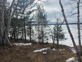 TBD Andrusia Rd SE, Cass Lake, MN 56633