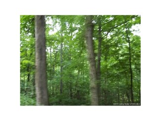0 Reservoir Rd Unit 201505756, English, IN 47118