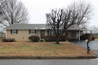 520 Jaynes Dr, Halls, TN 38040