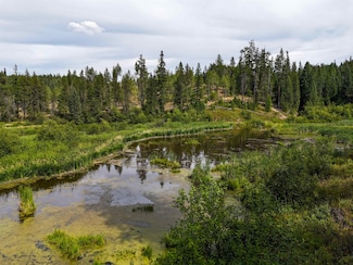 52XX Wagner Rd, Springdale, WA 99173