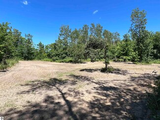 000 Anger Rd, Mancelona, MI 49659