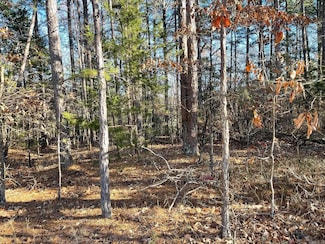 Lot 38R Block 3 Mountain Ranch Dr, Fairfield Bay, AR 72088