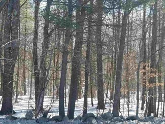 off Wilson Hill Rd, Francestown, NH 03043