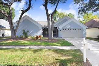 18213 Cypress Stand Cir, Tampa, FL 33647