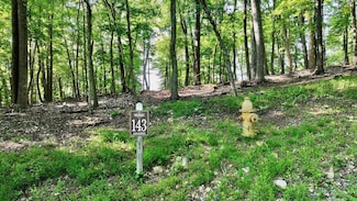 Lot 143 Withrow Landing, Caldwell, WV 24925