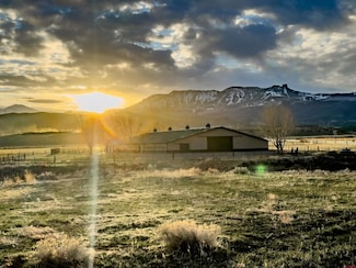 1071 Black Canyon Rd, Crawford, CO 81415