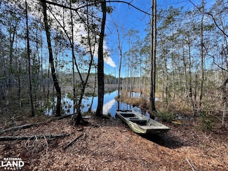 0 John Johnston Rd, Citronelle, AL 36522