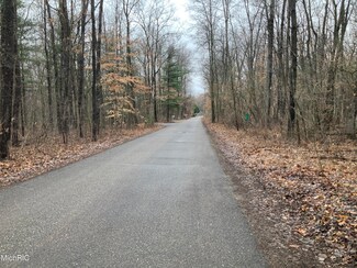 758 E Meadowood Ln, Newaygo, MI 49337