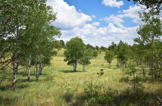 406 Bob White Cir, Como, CO 80432