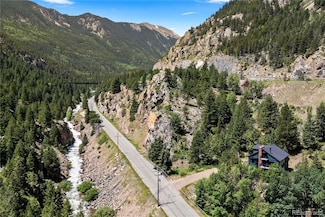 205 Loop Dr, Georgetown, CO 80444