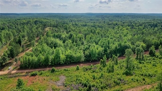 0 County Road 78 Unit 174692, Waverly, AL 36879