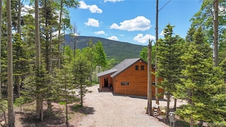 2474 Wendt Ln, Fort Garland, CO 81133