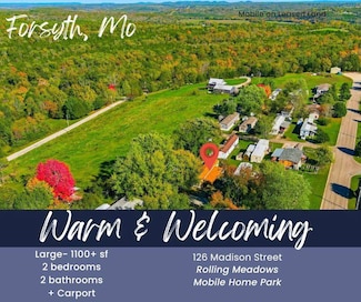 126 Madison St, Forsyth, MO 65653