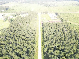 LOT 2 Butterbean Ridge, Livingston, LA 70754