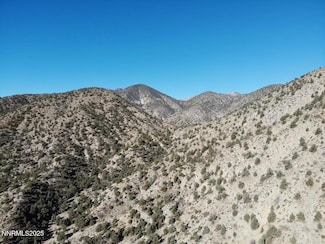 tbd Alum Creek Rd, Hawthorne, NV 89415