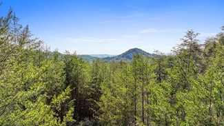 7.18 Ac McJunkin Rd, Turtletown, TN 37391