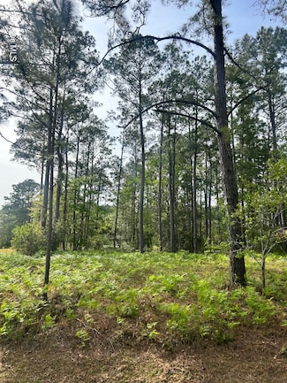 235 Barrington, Bogue, NC 28570