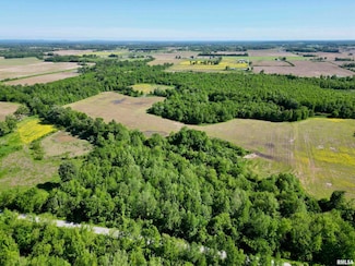 000 Netty Green Rd, Galatia, IL 62935