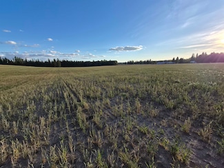 NKN Allen Rd, Elk, WA 99009