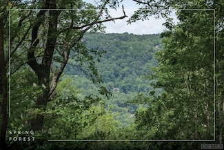 Lot 13 Windemere Dr, Sapphire, NC 28774
