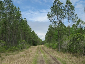 0 Florida 24 Unit 19989098, Otter Creek, FL 32621