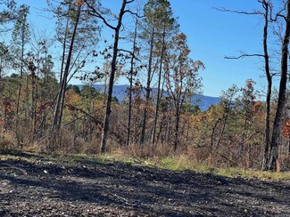 0 Nella Community Imogene Rd, Waldron, AR 72958