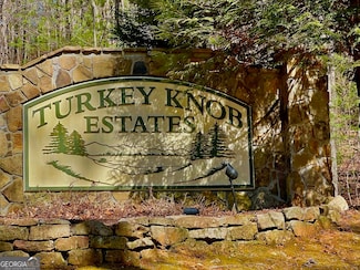 29 Oceola Dr, Ellijay, GA 30540