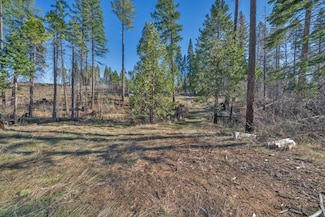 4684 Sciaroni Rd, Grizzly Flats, CA 95636