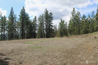 0 Lot 1 Badger Sontag Ridge E, Davenport, WA 99122