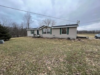 11003 S Wisner Ave, Grant, MI 49327