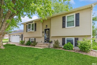 814 15th Ave, de Witt, IA 52742