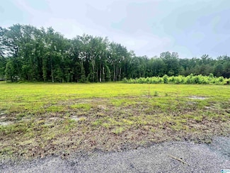 0 Ward School Rd Unit 2 21420308, Centreville, AL 35042