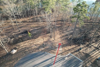 1533 Saugus Ct, Chapin, SC 29036