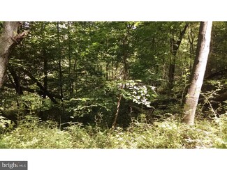 32 George Washington Rd, Lambertville, NJ 08530