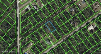 1011 Dearing St, Lake Placid, FL 33852