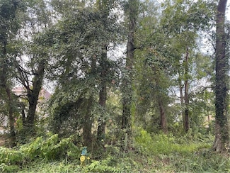 0 Bishop Ln N Unit 8 0656265, Mobile, AL 36608