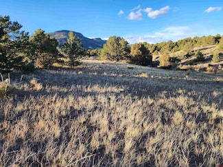 512 Kit Carson Rd, Alpine, CO 81154