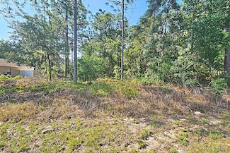 3314 W Crandon Dr, Citrus Springs, FL 34433