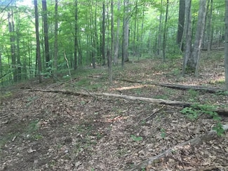 0 Fleshers Run Rd, Ravenswood, WV 26164