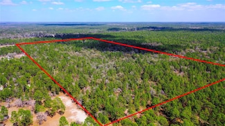 7137 W Sunmar Sample Ln, Dunnellon, FL 34433