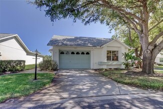8439 Monaco Dr, Port Richey, FL 34668