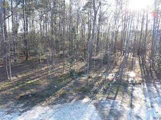 Lot B8 Reinninger Rd, Denham Springs, LA 70706