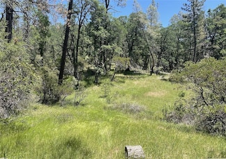 9660 Harrington Flat Rd, Loch Lomond, CA 95461