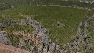 0 Highway 26 Lot Unit WP002, Lucedale, MS 39542