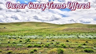 1238 Chicha Rd, Hartsel, CO 80449